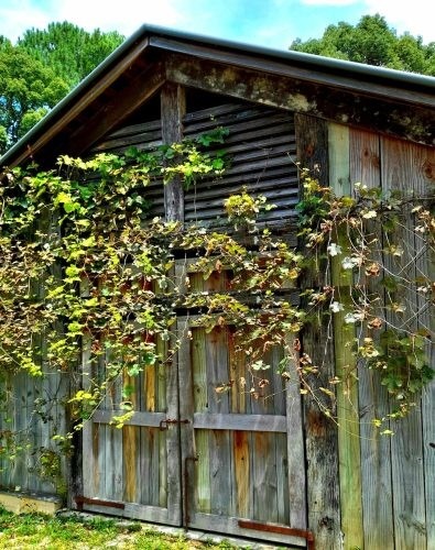 Les Beaux, Bangalow 23