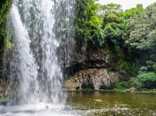 Les Beaux, Bangalow 24