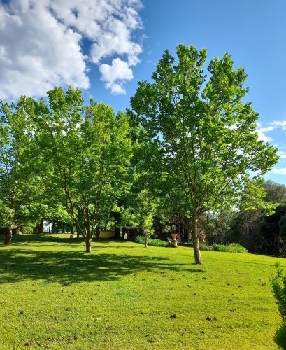 Les Beaux, Bangalow 31