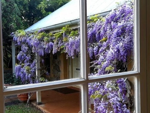 Les Beaux, Bangalow 4