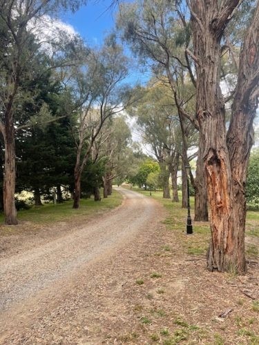 Randolph Estate, Chirnside Park 10
