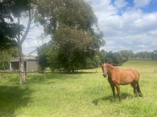 Randolph Estate, Chirnside Park 25
