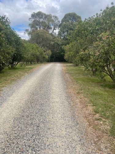 Randolph Estate, Chirnside Park 7