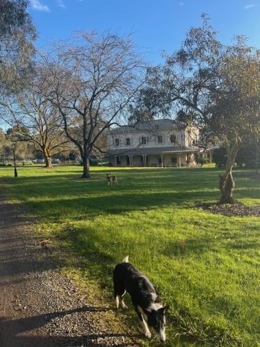 Randolph Estate, Chirnside Park 9