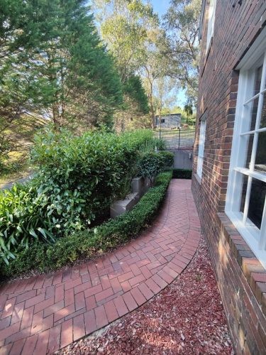 Violet Meadow, Lower Plenty 13