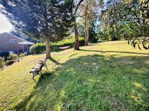 Violet Meadow, Lower Plenty 19