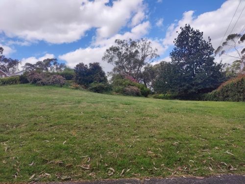 Violet Meadow, Lower Plenty 31