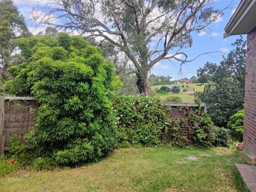 Violet Meadow, Lower Plenty 33