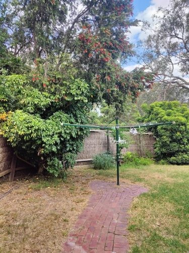 Violet Meadow, Lower Plenty 35