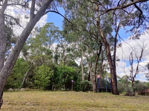 Violet Meadow, Lower Plenty 41