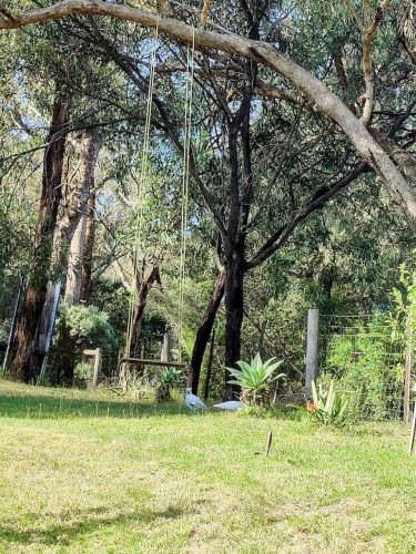 Violet Meadow, Lower Plenty 8