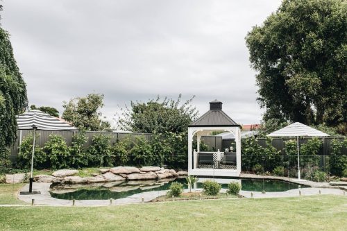 outdoor area backyard garden established