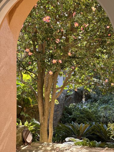 CHATEAU MARMONT299