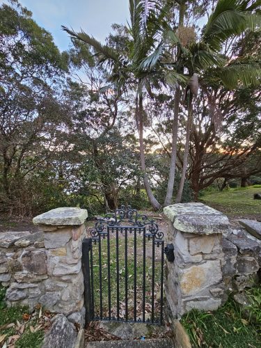 Colette, Cronulla 54