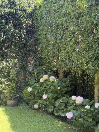ELOPE, PADDINGTON94 GARDEN FLOWERS