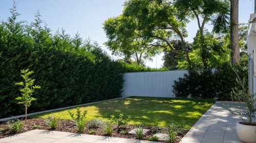 backyard garden established