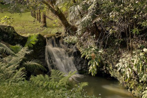 Jumanji, Currumbin Valley 11