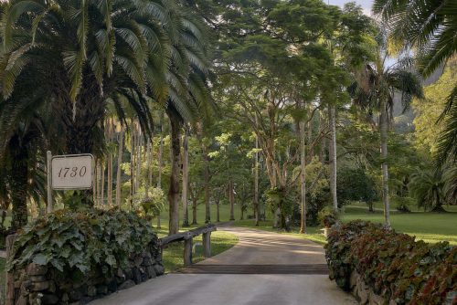 Jumanji, Currumbin Valley 13