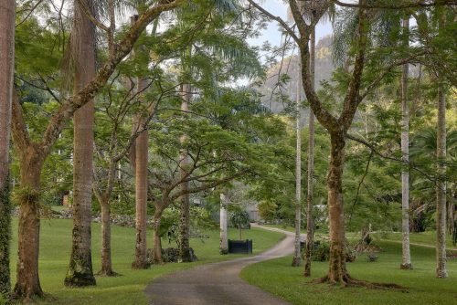 Jumanji, Currumbin Valley 15