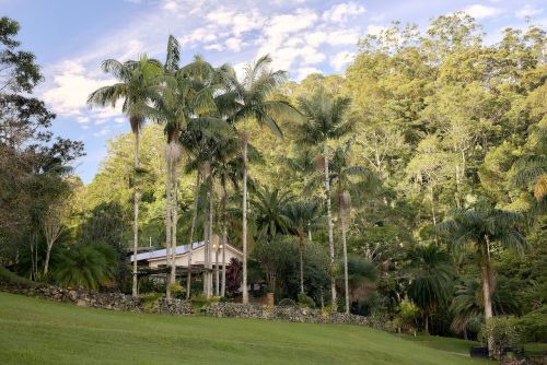 Jumanji, Currumbin Valley 19