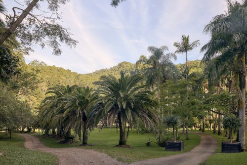Jumanji, Currumbin Valley 23