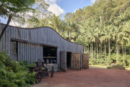 Jumanji, Currumbin Valley 3