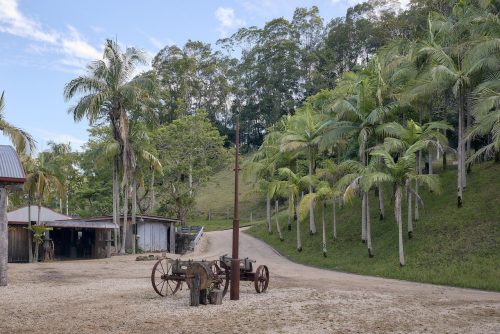 Jumanji, Currumbin Valley 4
