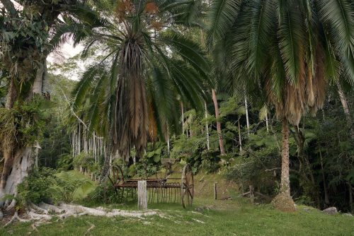 Jumanji, Currumbin Valley 47