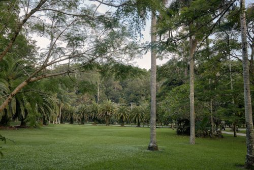 Jumanji, Currumbin Valley 48