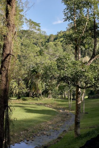 Jumanji, Currumbin Valley 5