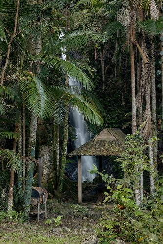 Jumanji, Currumbin Valley 53
