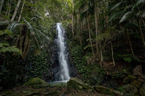 Jumanji, Currumbin Valley 55