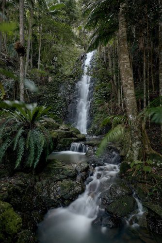 Jumanji, Currumbin Valley 56