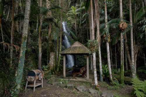 Jumanji, Currumbin Valley 57