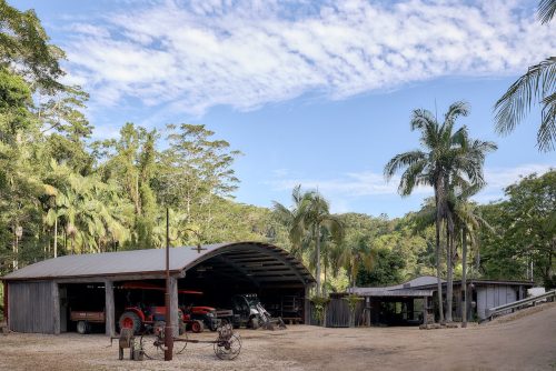 Jumanji, Currumbin Valley 6