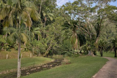 Jumanji, Currumbin Valley 7