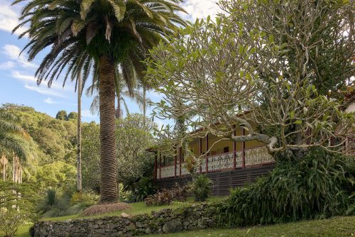 Jumanji, Currumbin Valley 8