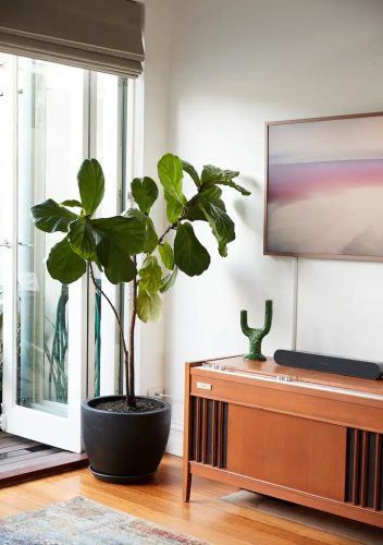 Matilda, Carlton North 15