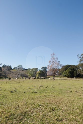 Pasture Studio, Mooball 30