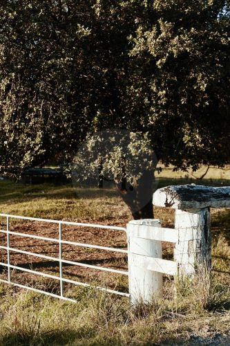 Pasture Studio, Mooball 54