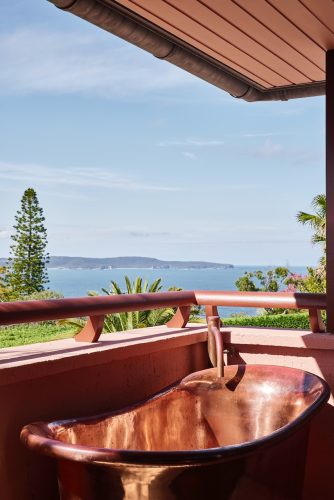 Sahara Rose, Palm Beach 24