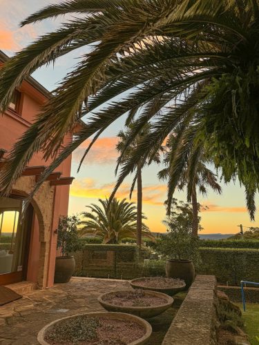 Sahara Rose, Palm Beach 29