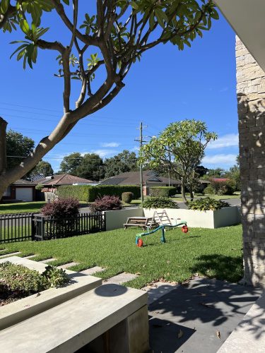 garden established backyard