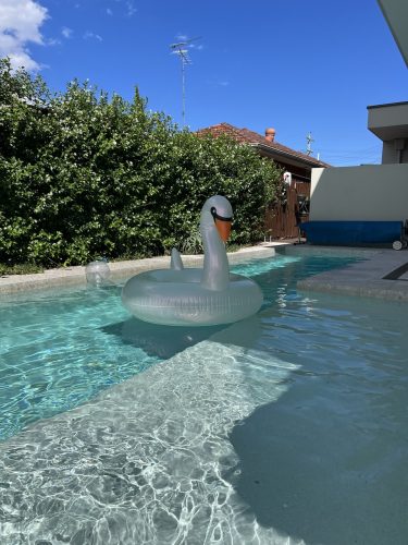 Shalimar, Emu Plains 40