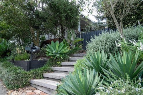 The Beekeepers Cottage, Berowra 6