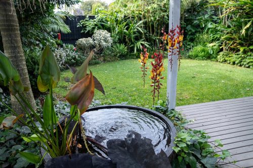 The Beekeepers Cottage, Berowra 8