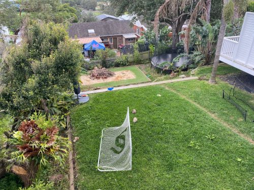backyard garden established pool