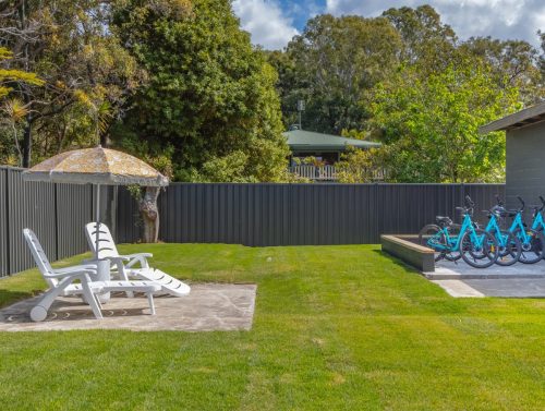 backyard pool garden established