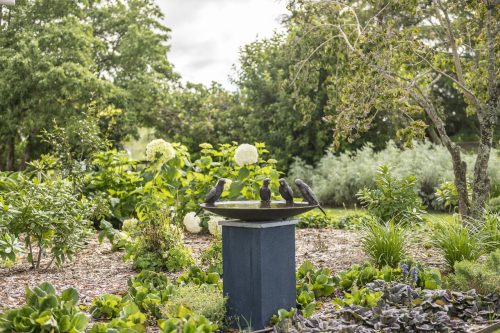 garden established