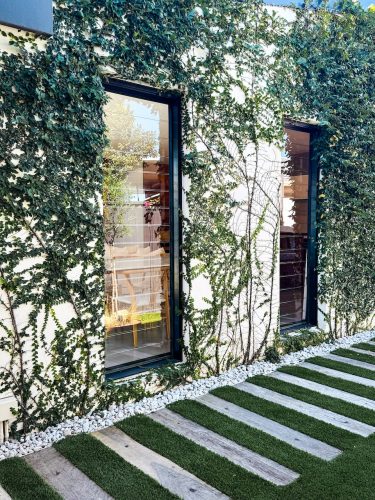 backyard established gardens